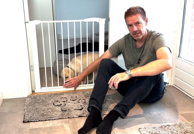 L&aelig;r din hvalp at v&aelig;re alene hjemme dag 5