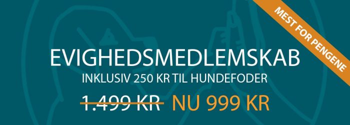 Evighedsmedlemskab-tilbud-999