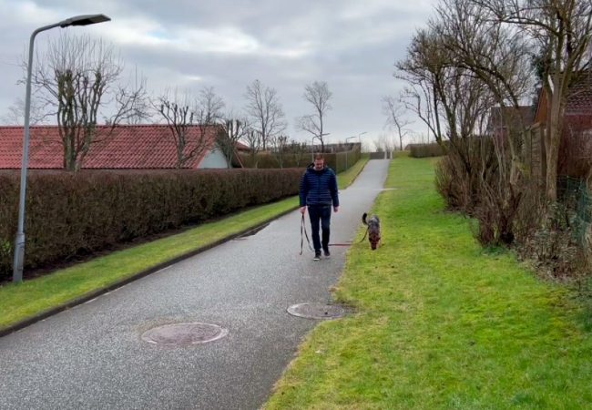 G&aring;-p&aelig;nt-i-line