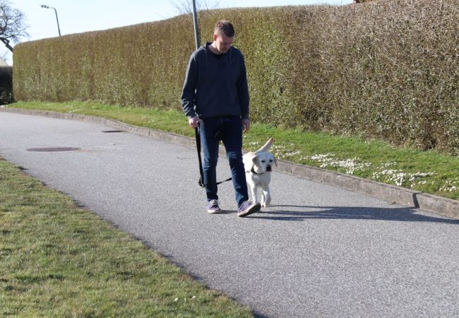 Den gode g&aring;tur