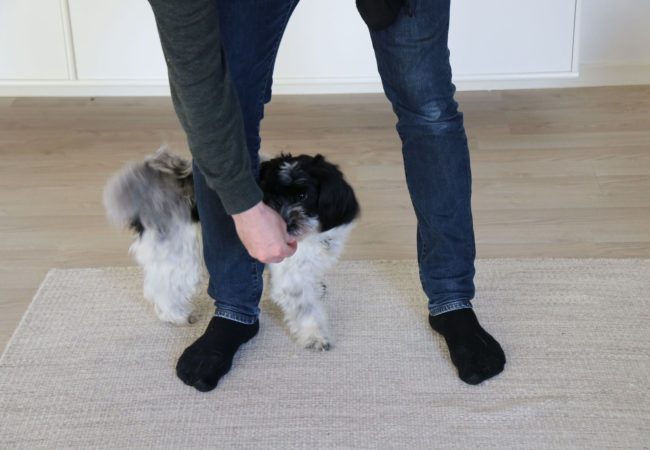 cirkel h&oslash;jre ben