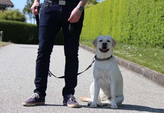 tips til g&aring;turen