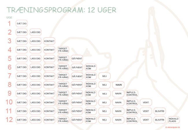 Tr&aelig;ningsprogram 12 uger - web