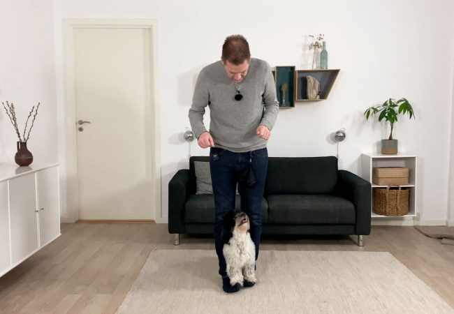 g&aring; p&aring; f&oslash;dder